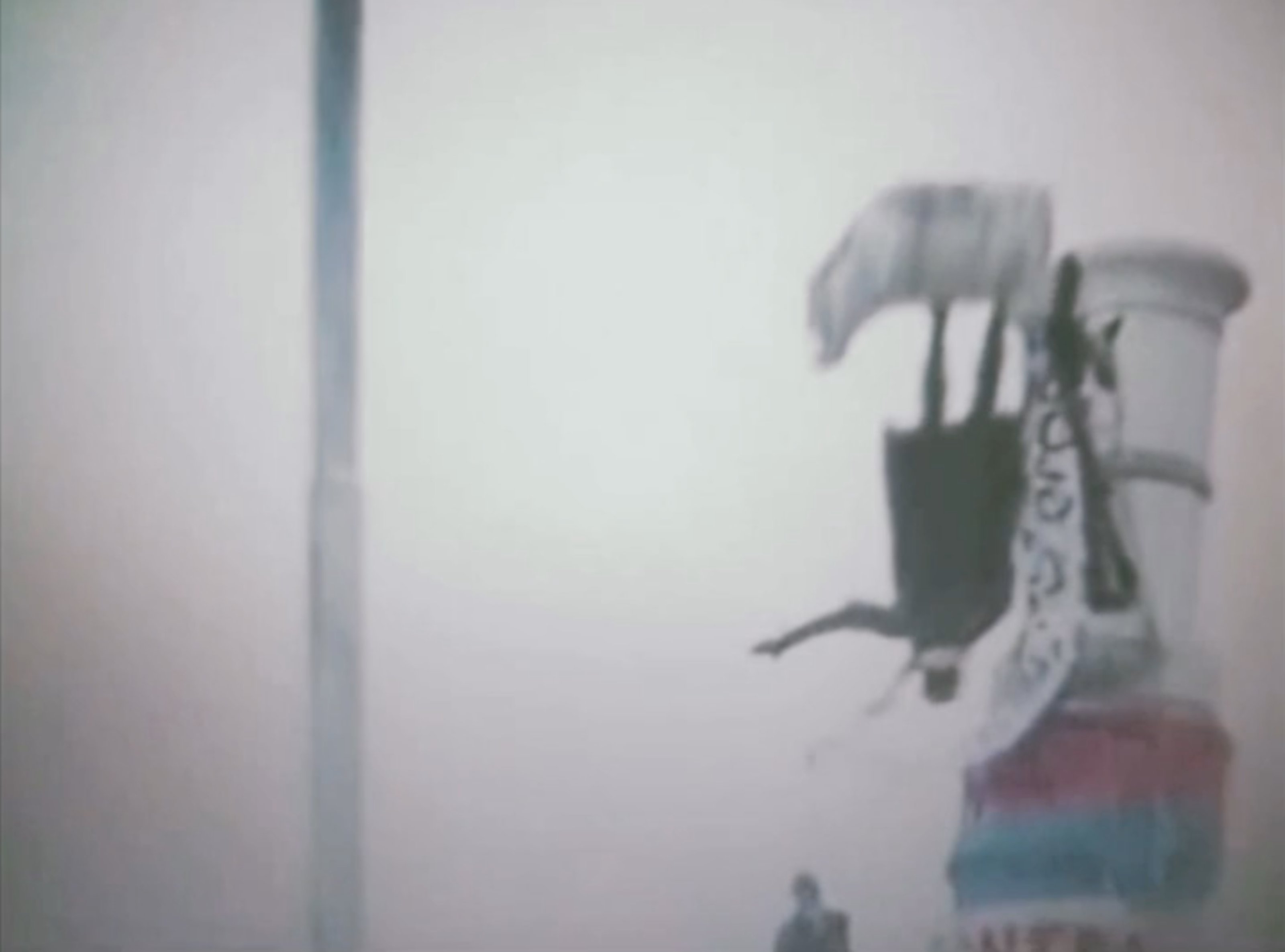 Video of a public statue being toppled from the pedestal