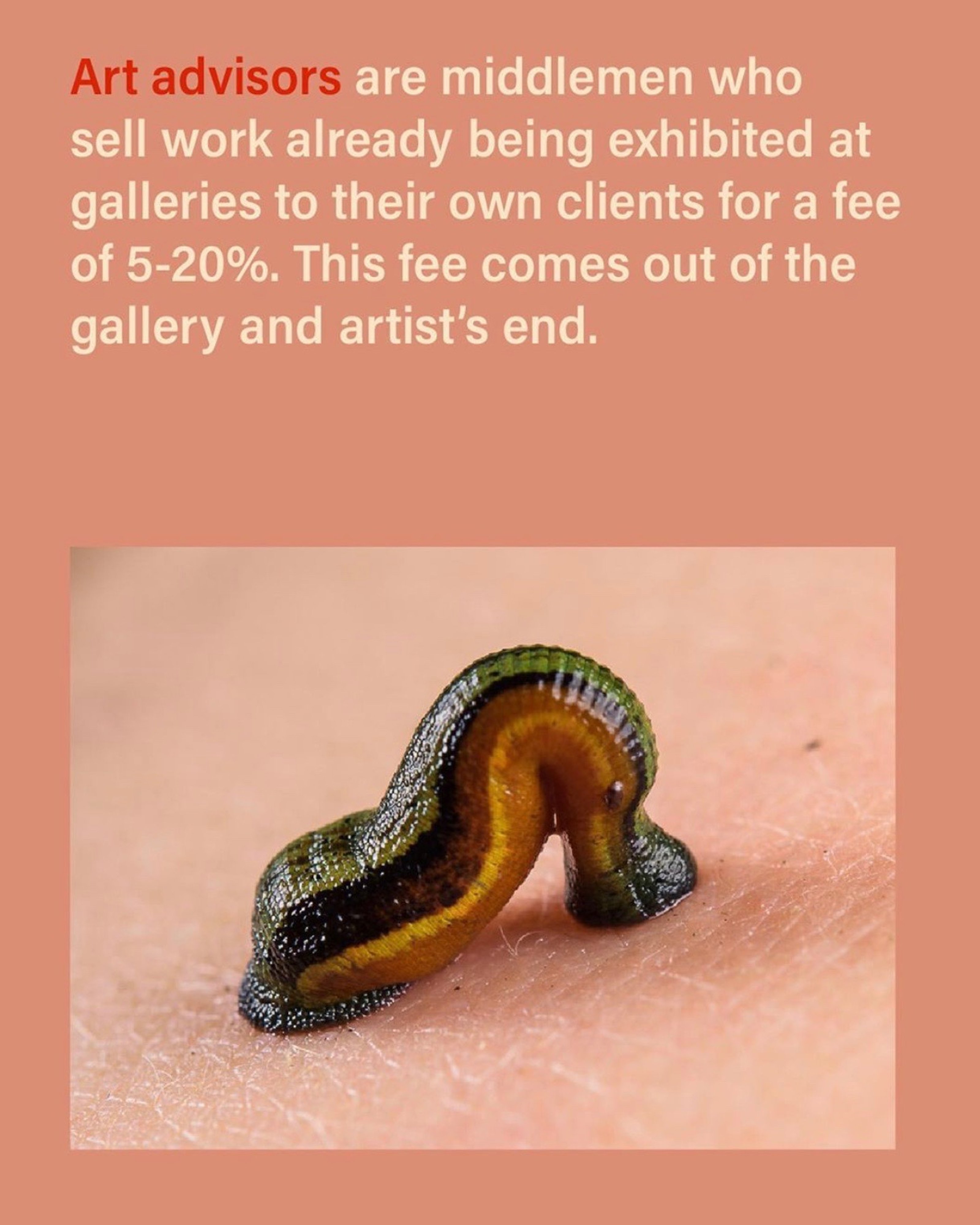 Picture showing a leech sucking blood with text about art advisors taking commissions from art sales at the expense of galleries and artists and not contributing to culture