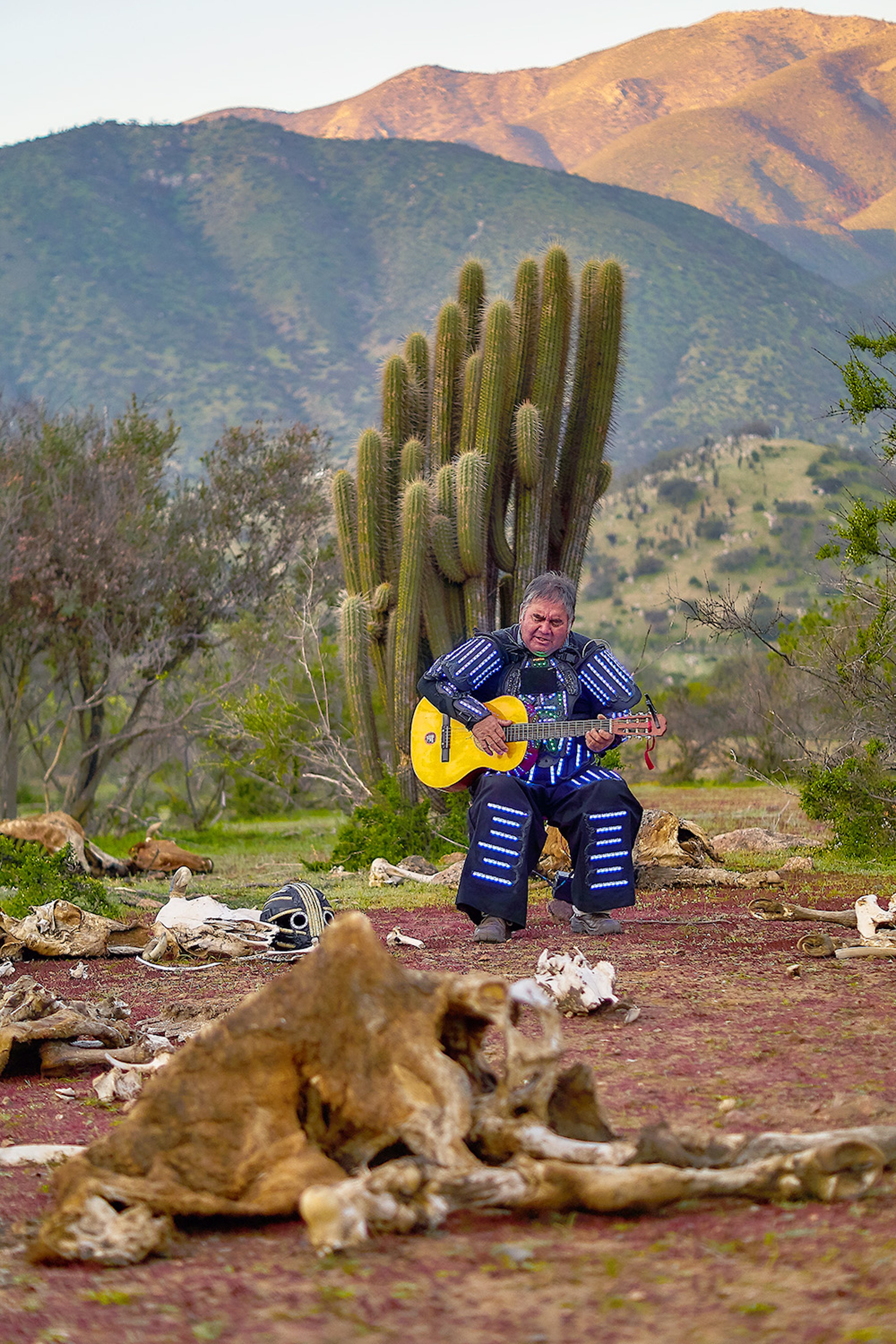 Musician Juan López playing guitar and singing, sitting under a cactus tree surrounded by by animal bones
