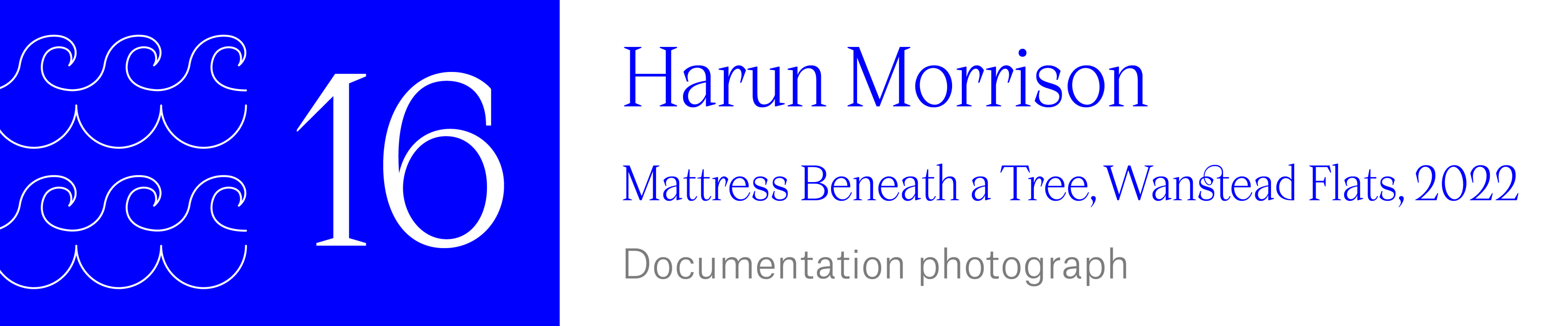 The Wave (16) Harun Morrison - Mattress Beneath a Tree, Wanstead Flats, 2022. Documentation photograph.