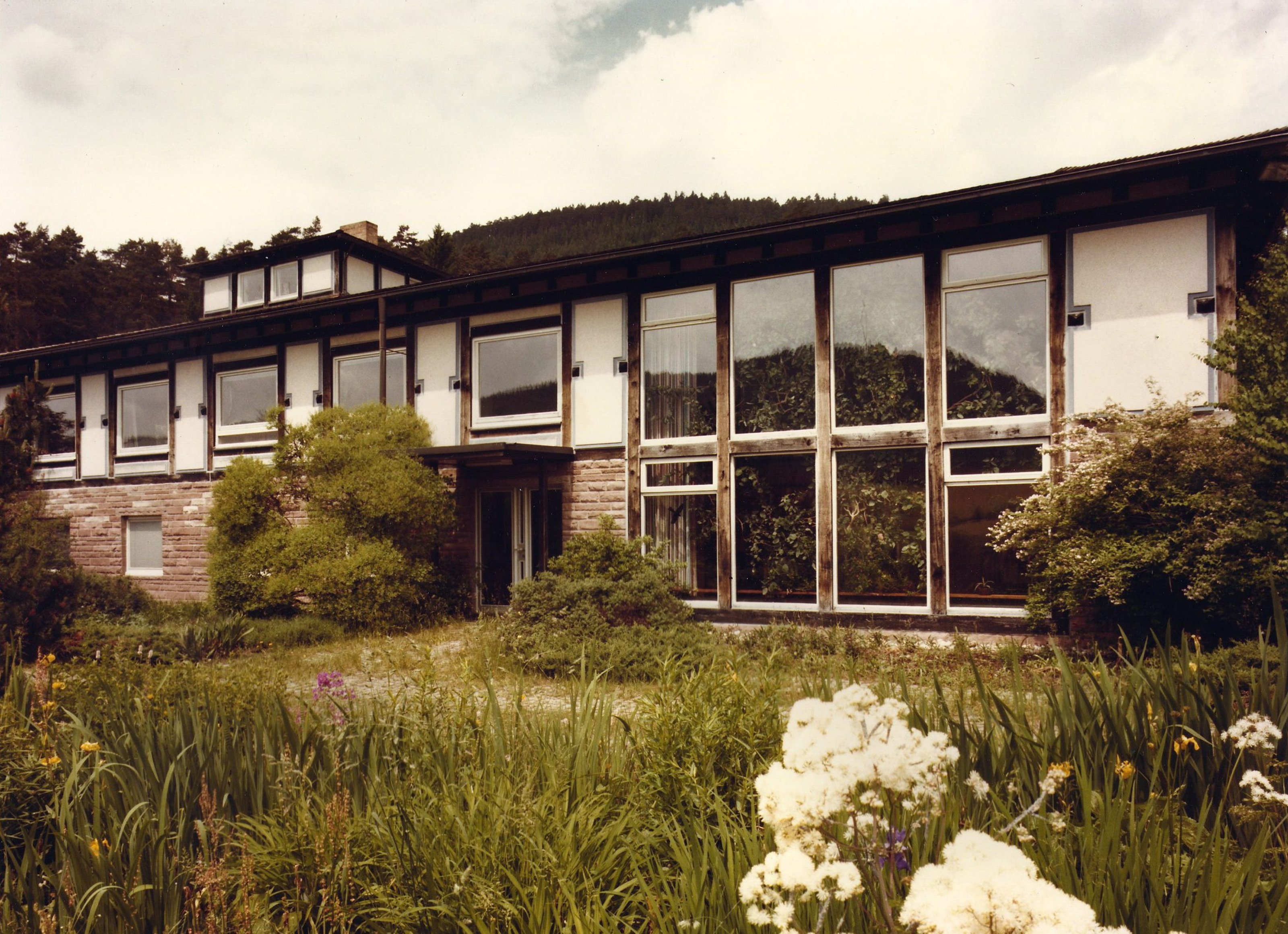 Max Himmelheber's villa among grass and flowers