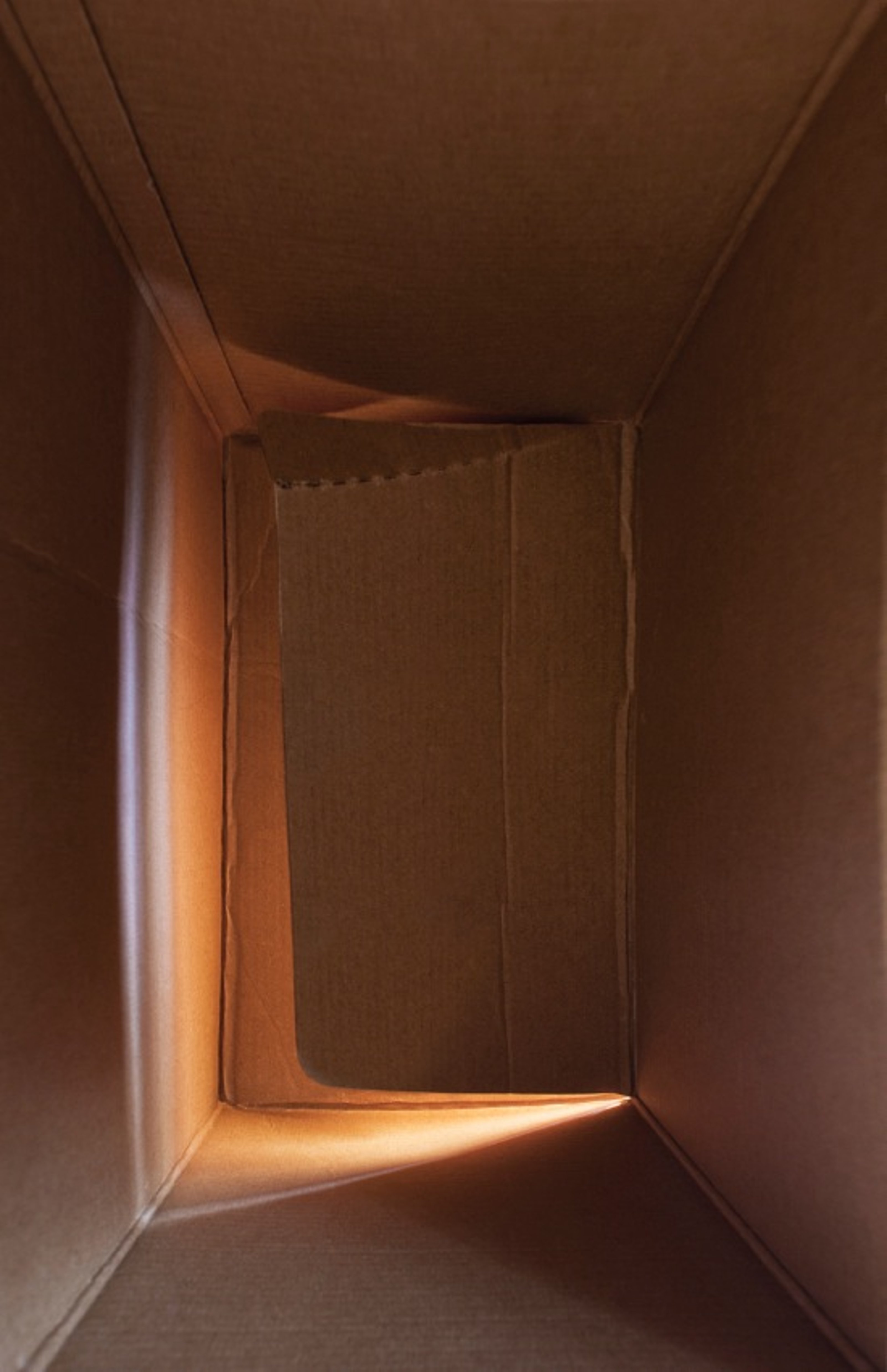 Interior of cardboard box