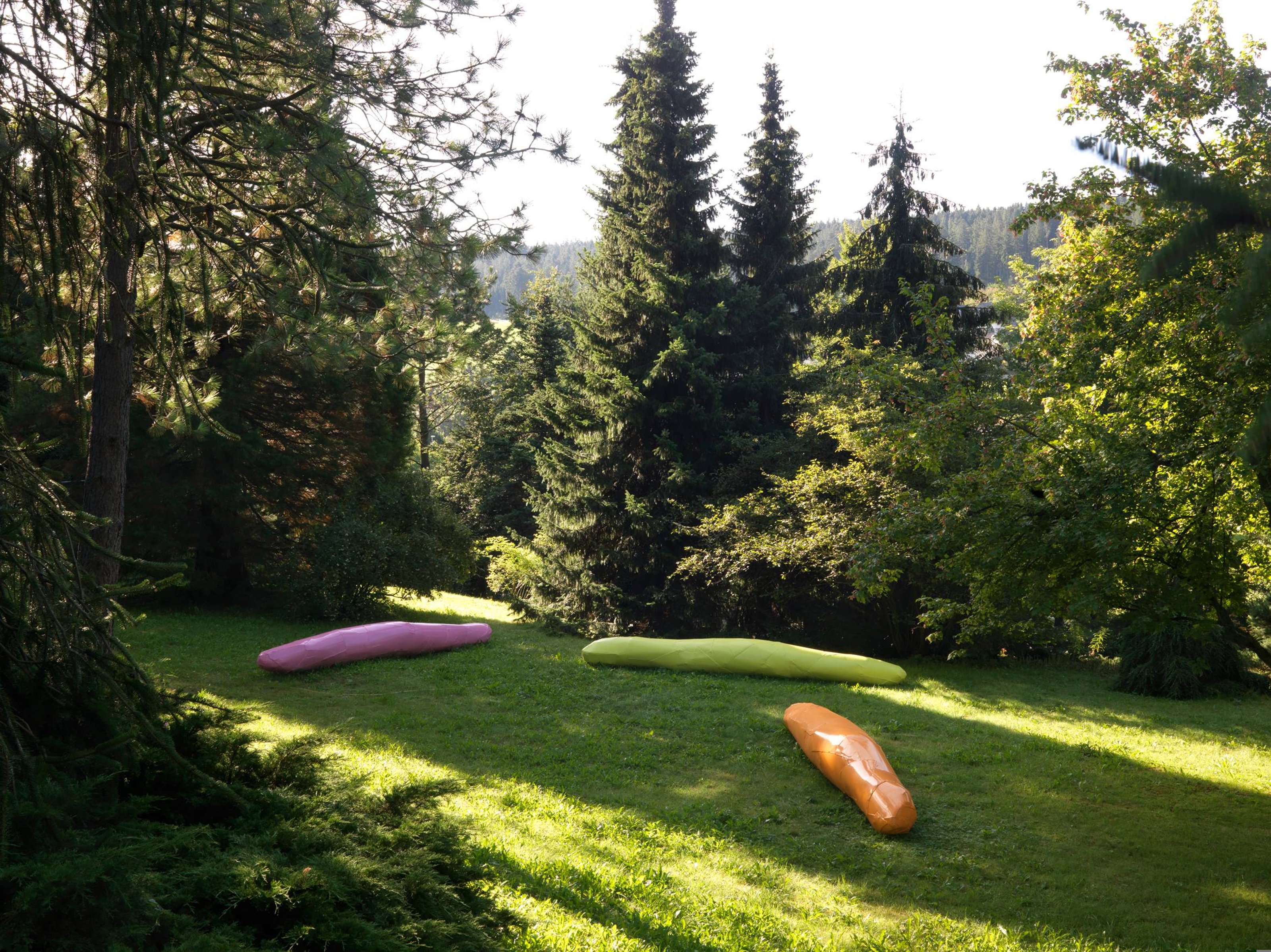 Giant colorful slugs on the grass