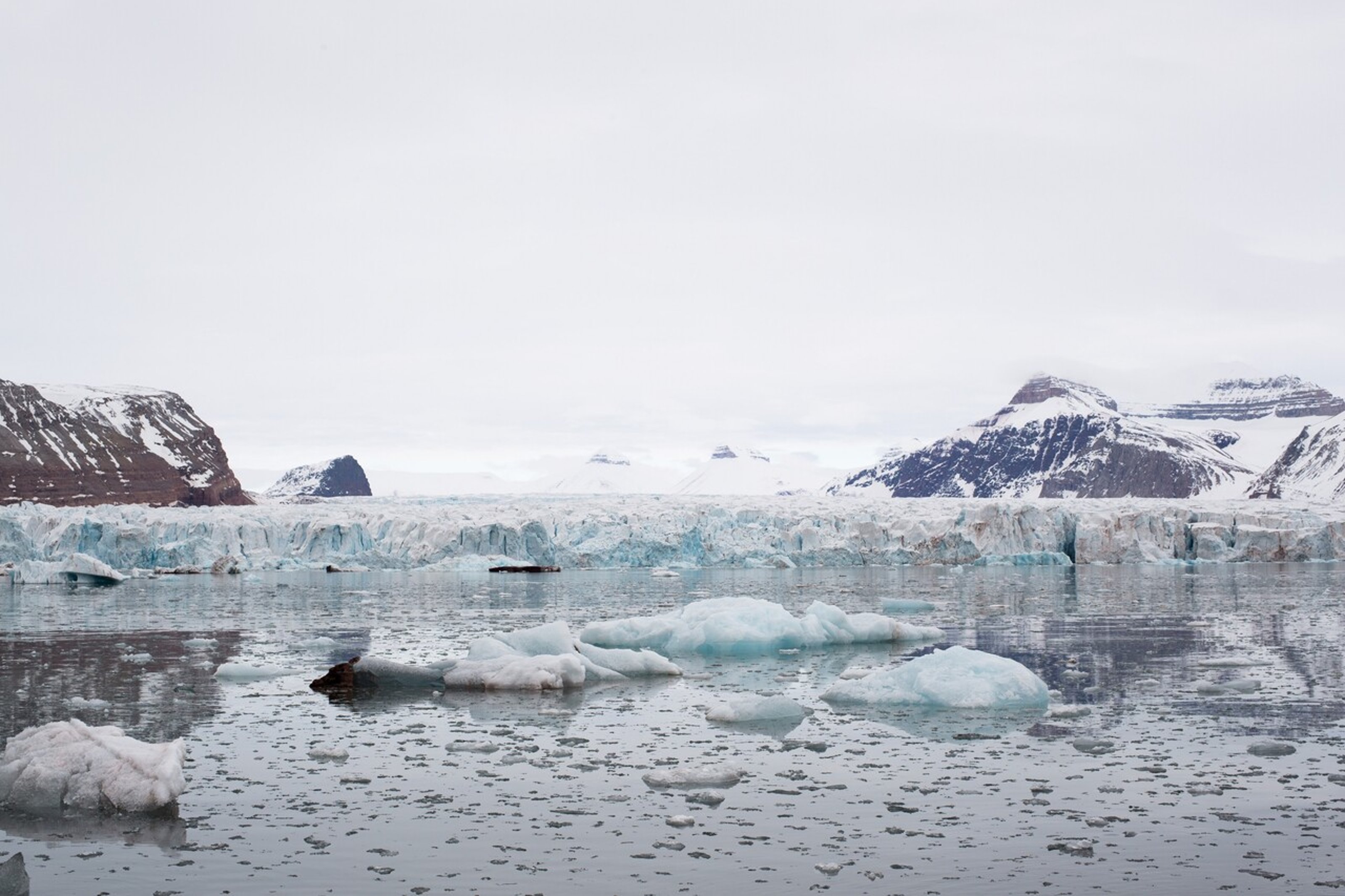 Floating icebergs, with glaciers in the background.