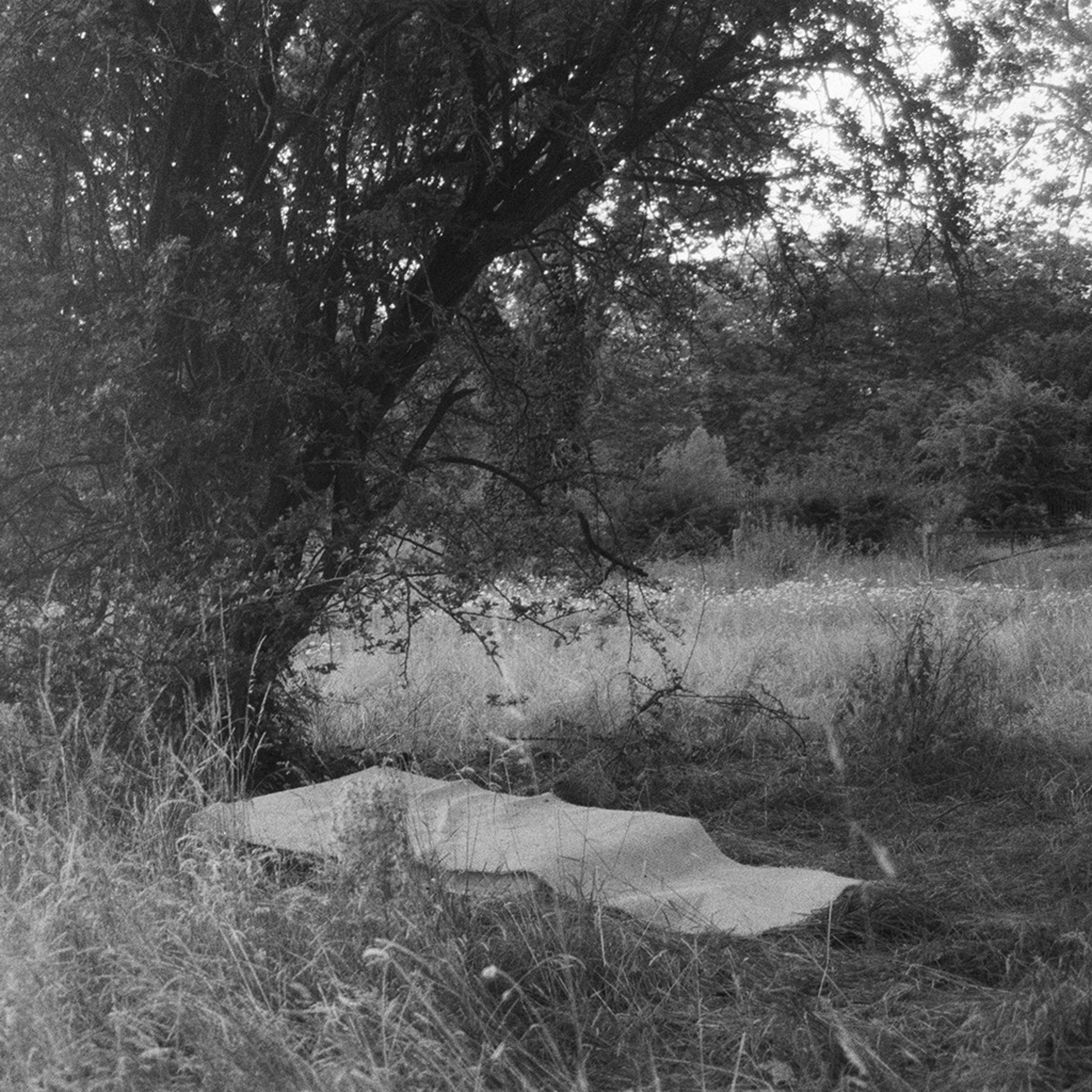 Square mattress underneath a tree, covered with a cloth