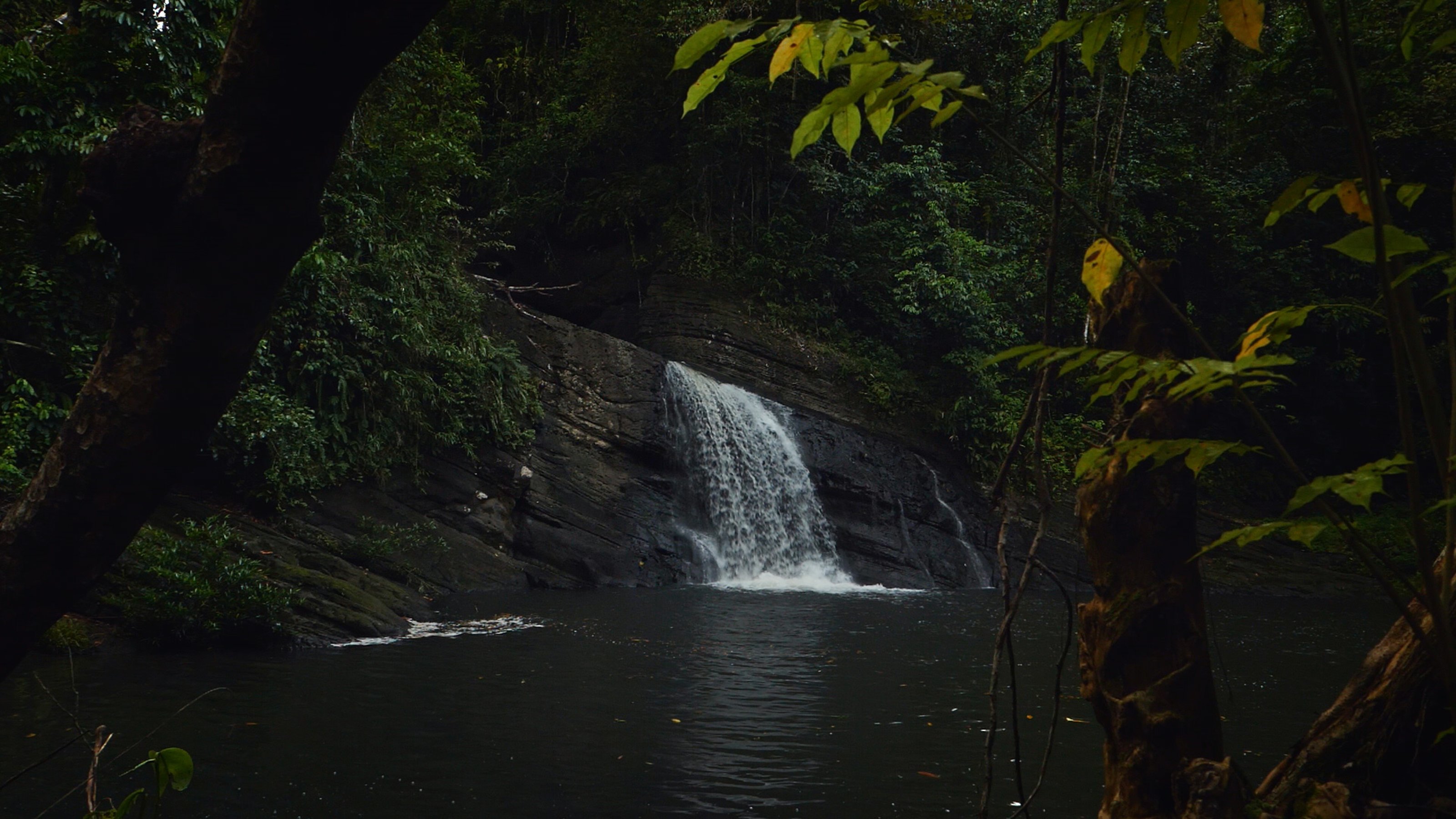 Image of a small waterfall in forest