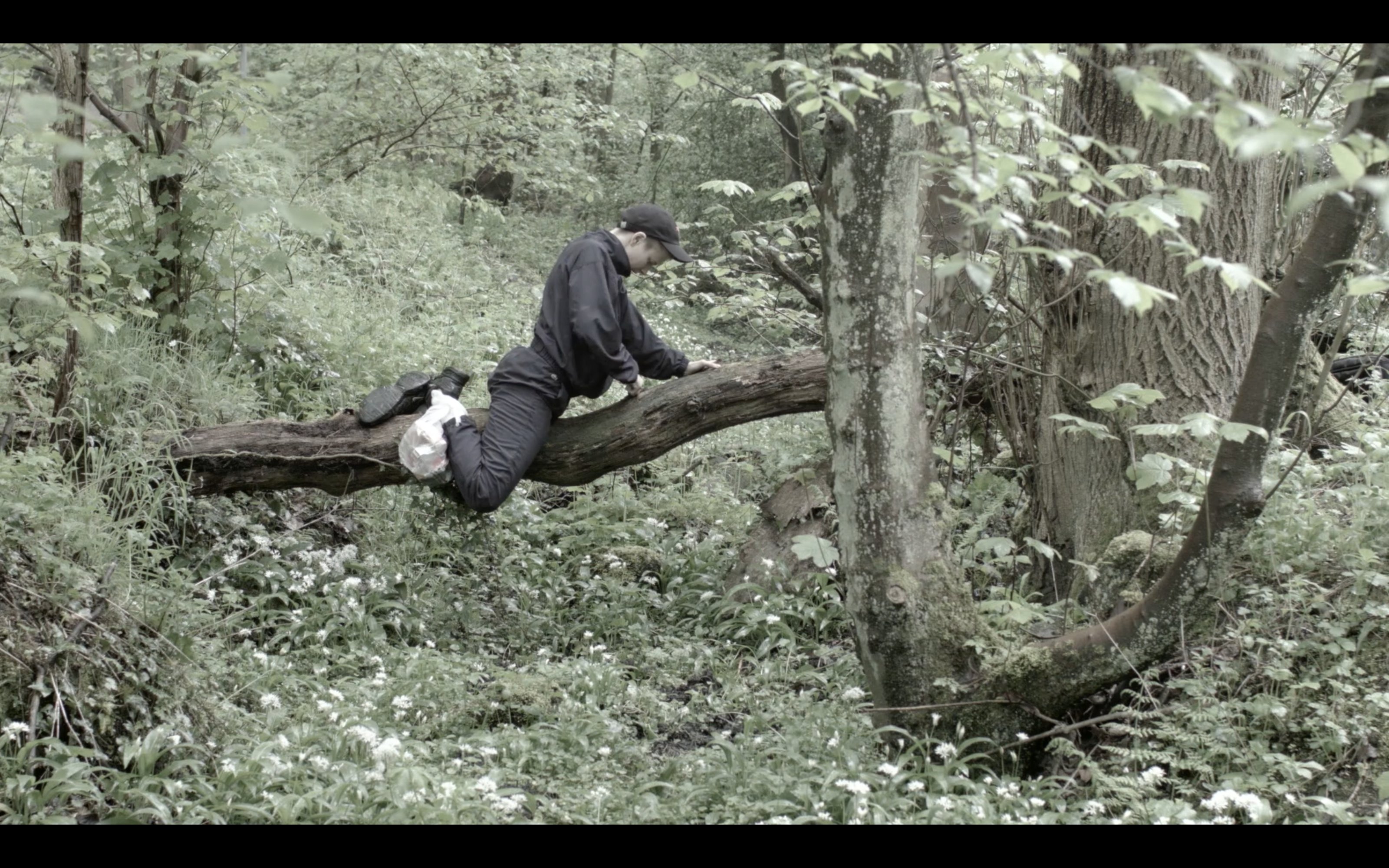 A screenshot fro Roy Claire Potter's film, we see a man sitting on a tree.