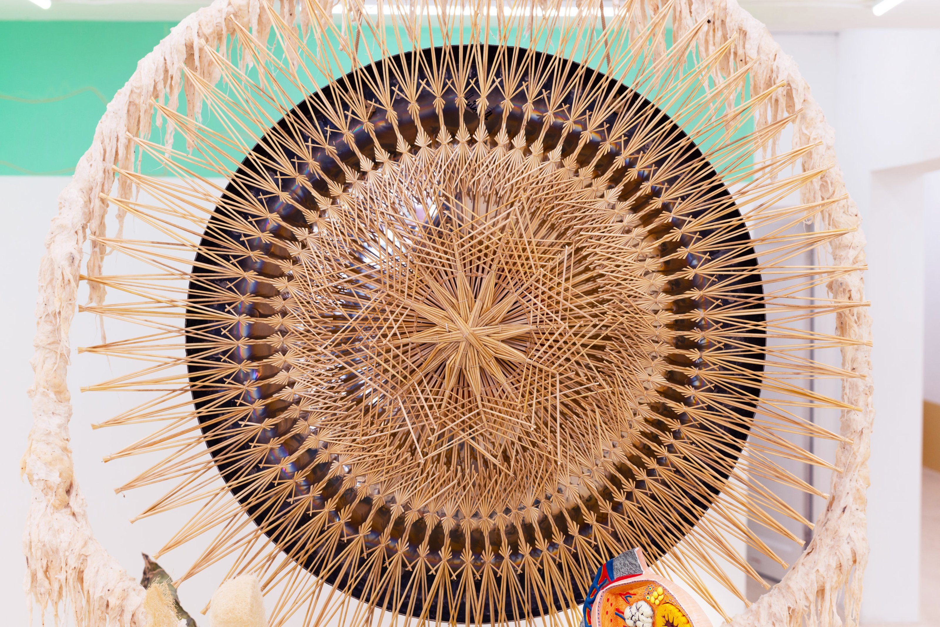 Detail of a circular sculpture made from natural materials