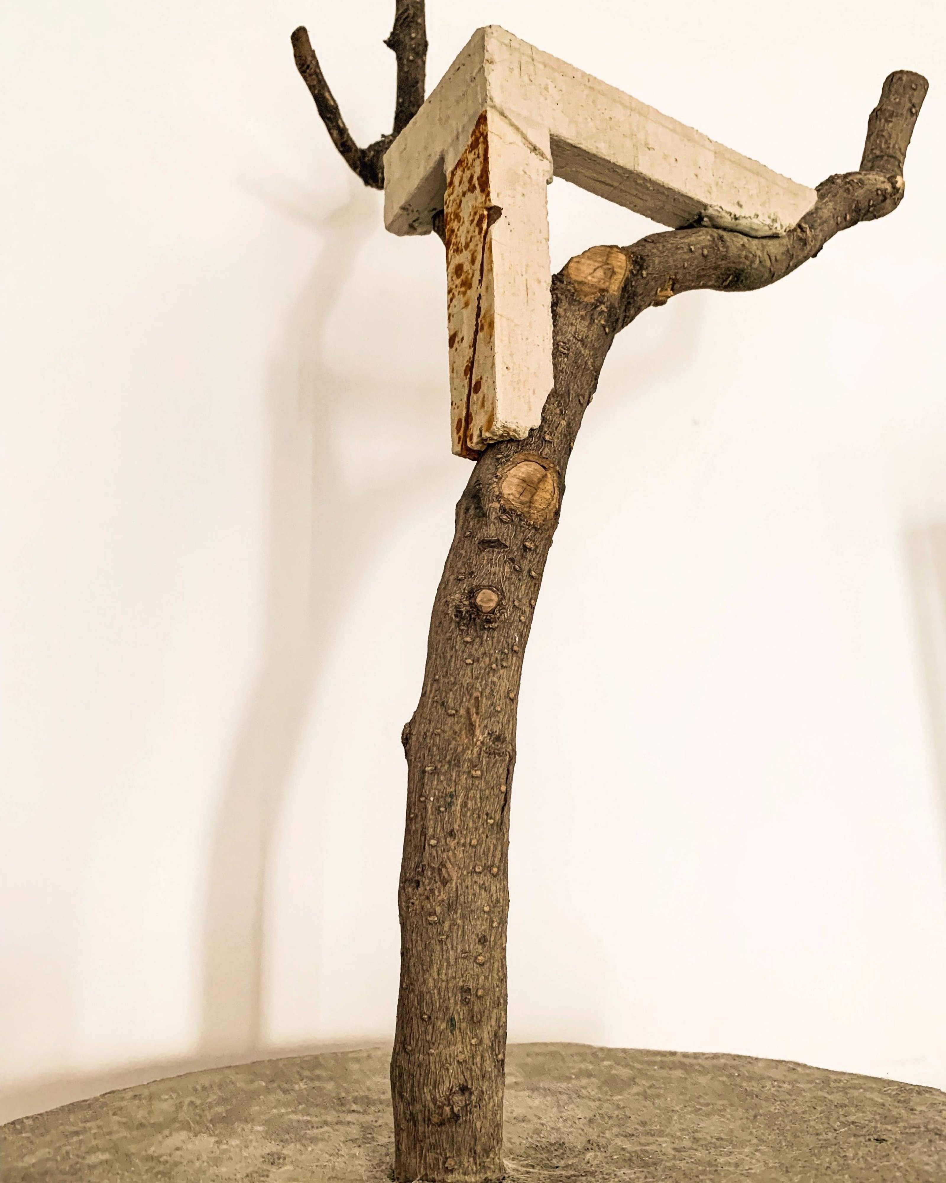 Three legged wooden structure placed upon tree branches indoors.
