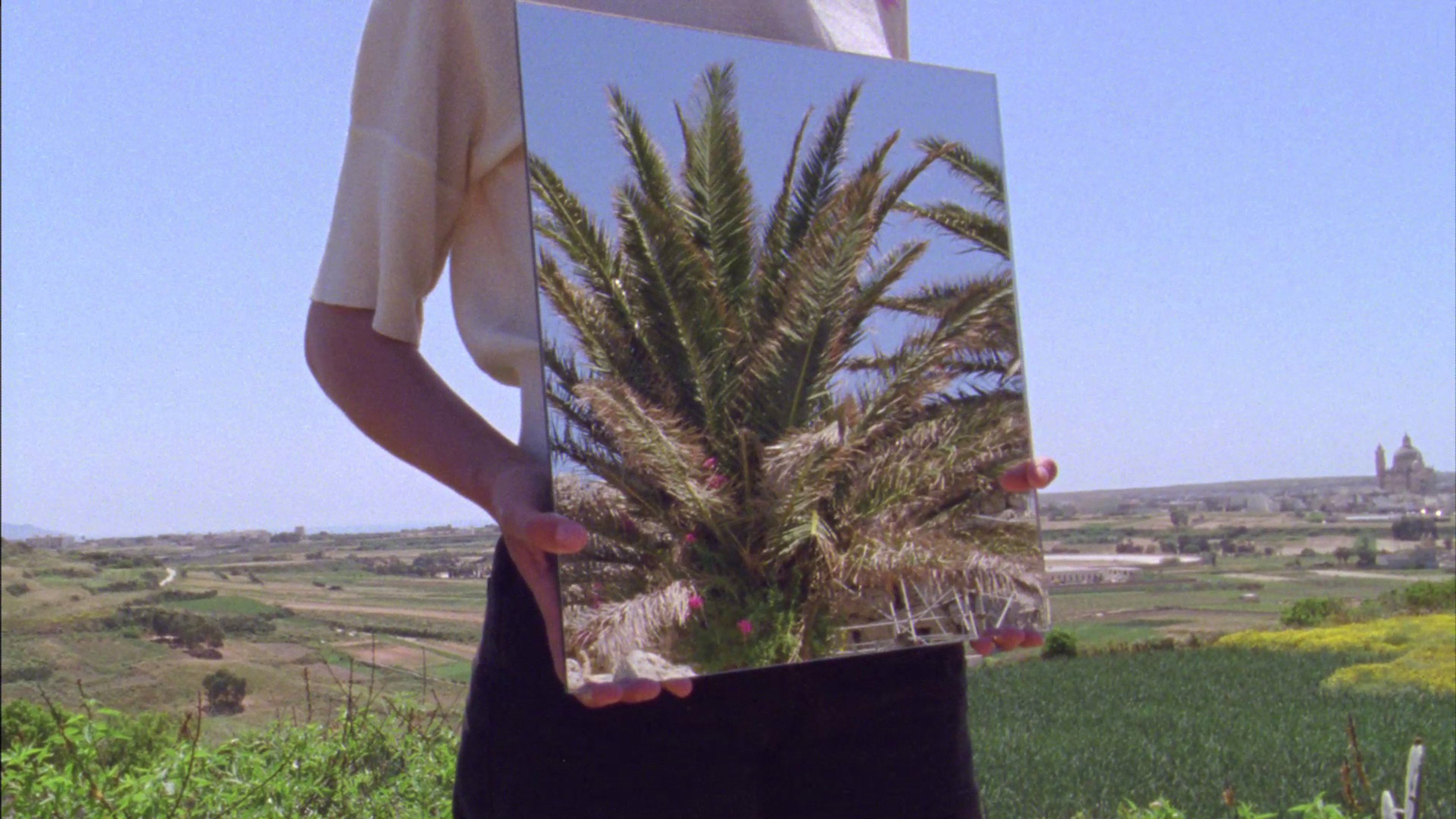 Persona en un campo abierto, sosteniendo un espejo cuadrado contra su pecho que muestra el reflejo de una palmera.