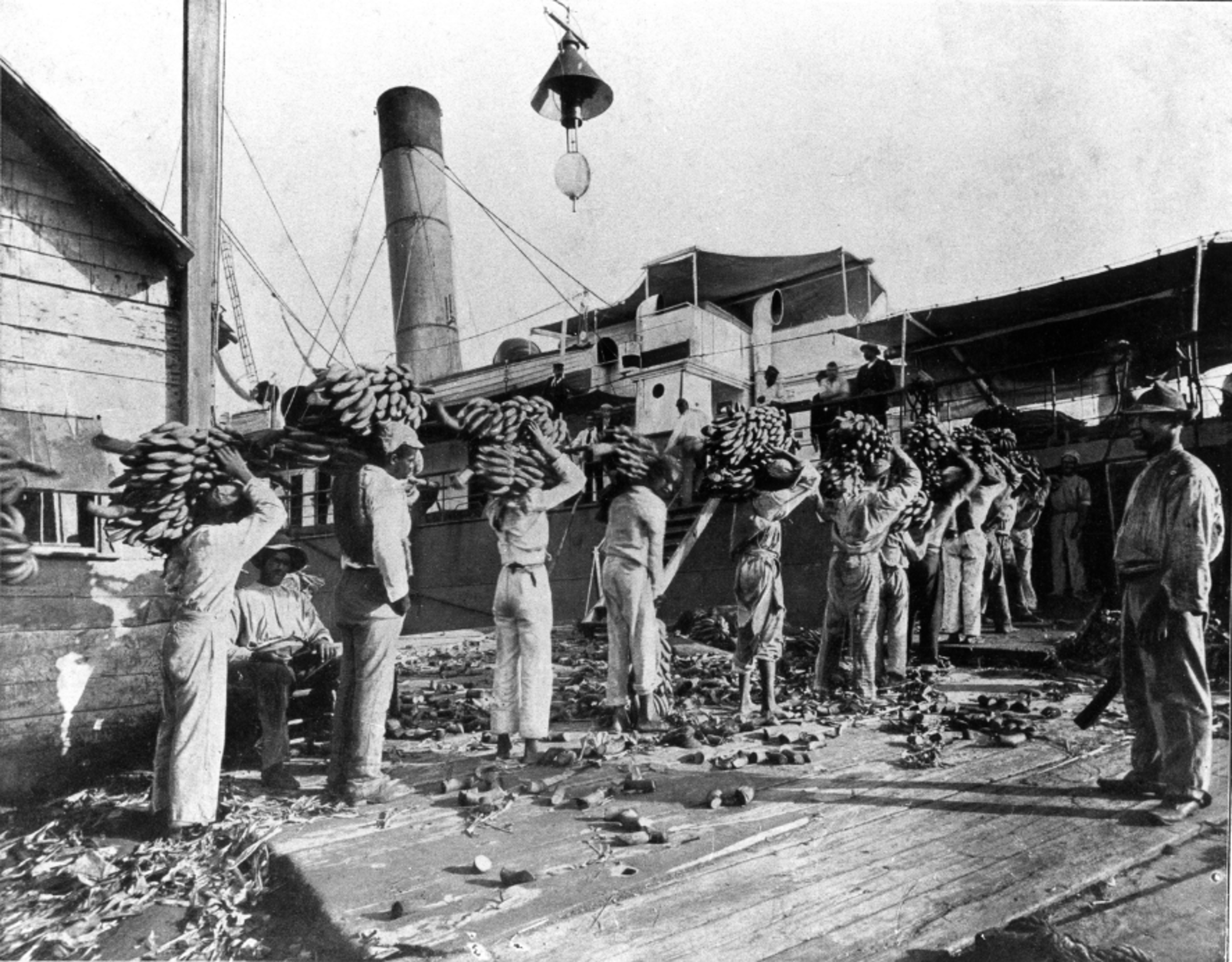 Banana workers carrying bananas during early 20th century Colombia